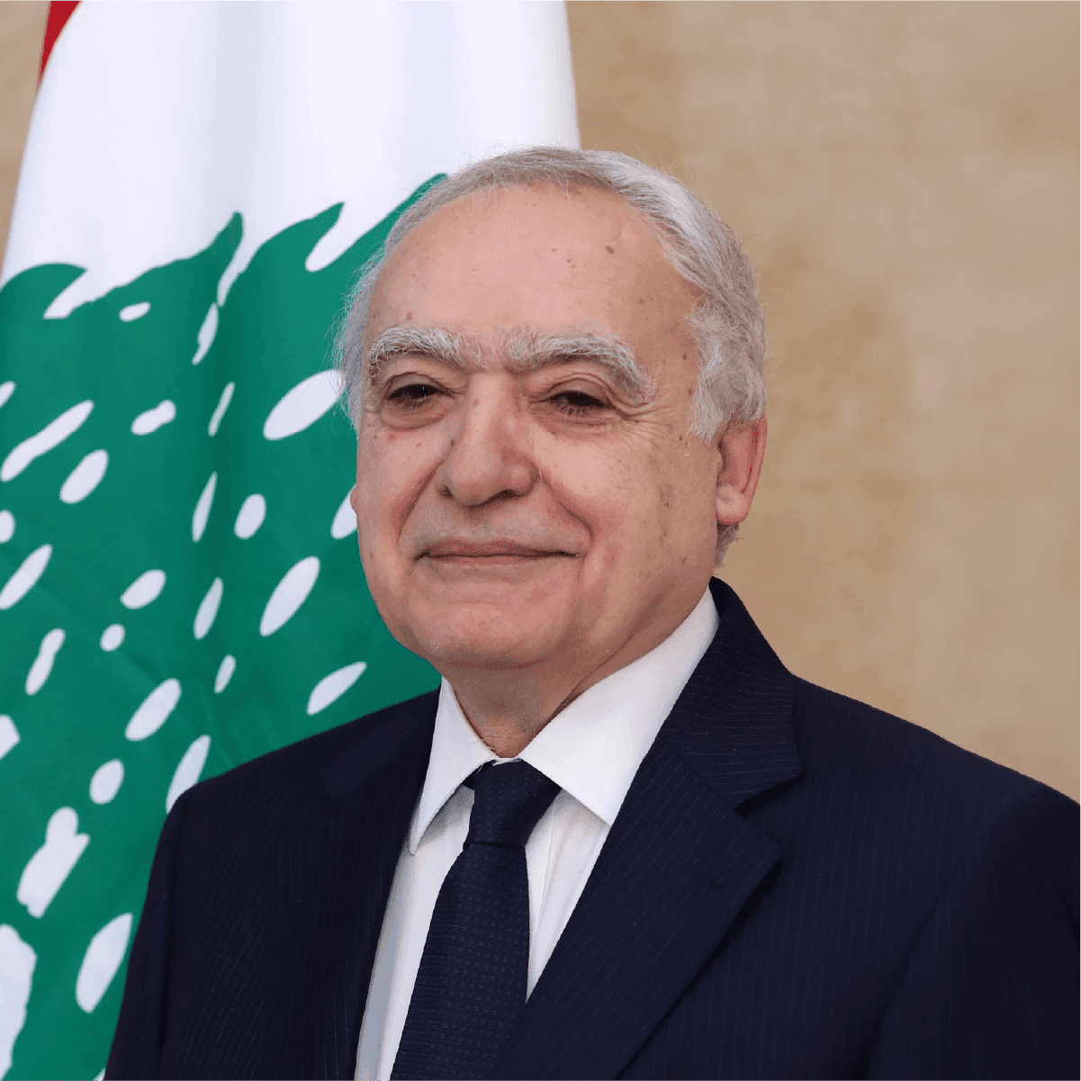معالي الدكتور غسان سلامة